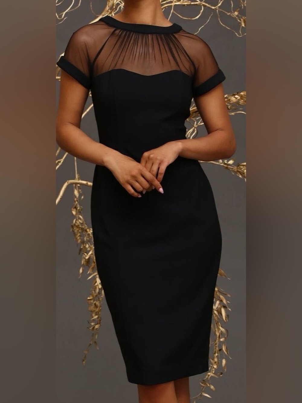 Maggy London Illusion Sheer Midi Dress